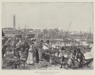 Sketches in Brazil, the Fish Market, Rio de Janeiro